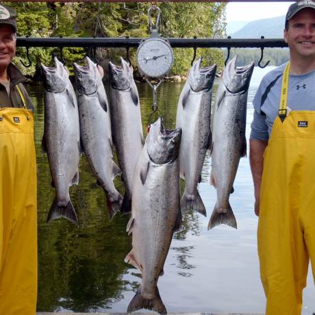 2 men proudly stand beside their catch of the day, at least 7 large salmon hang beside them at the scale!